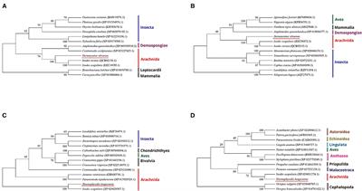 Frontiers | DNA Methyltransferases Contribute to Cold Tolerance in 